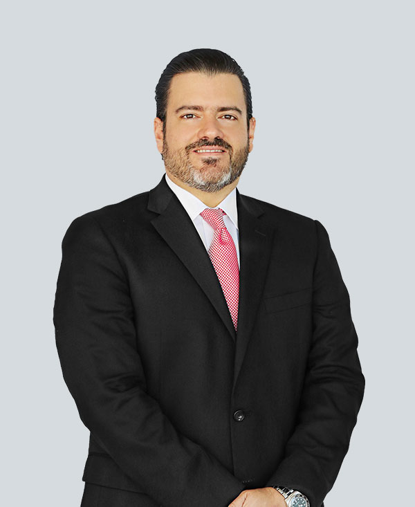 Luis M. Castro