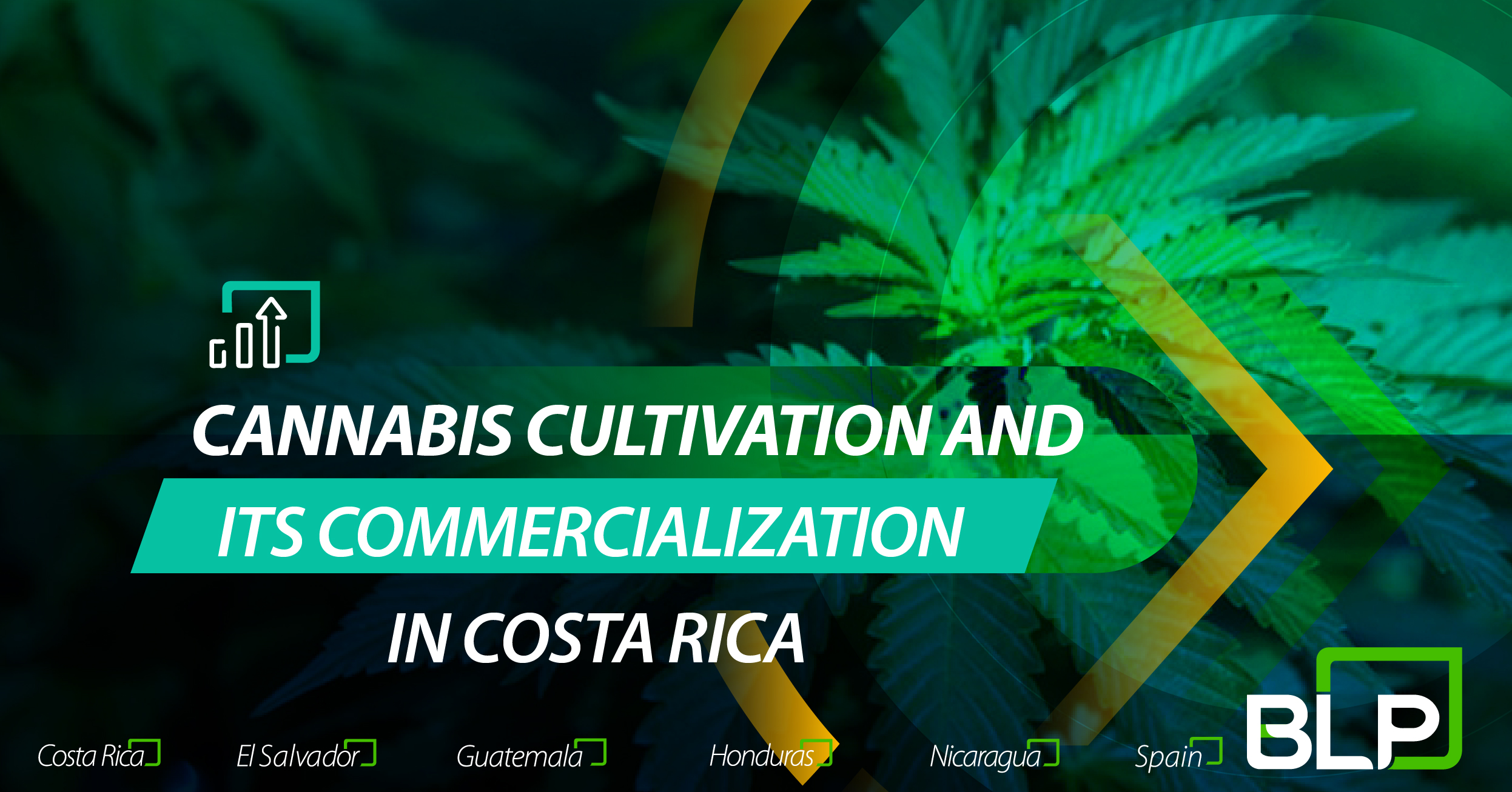 Business Opportunities for the Cultivation and Commerce of Cannabis in Costa Rica